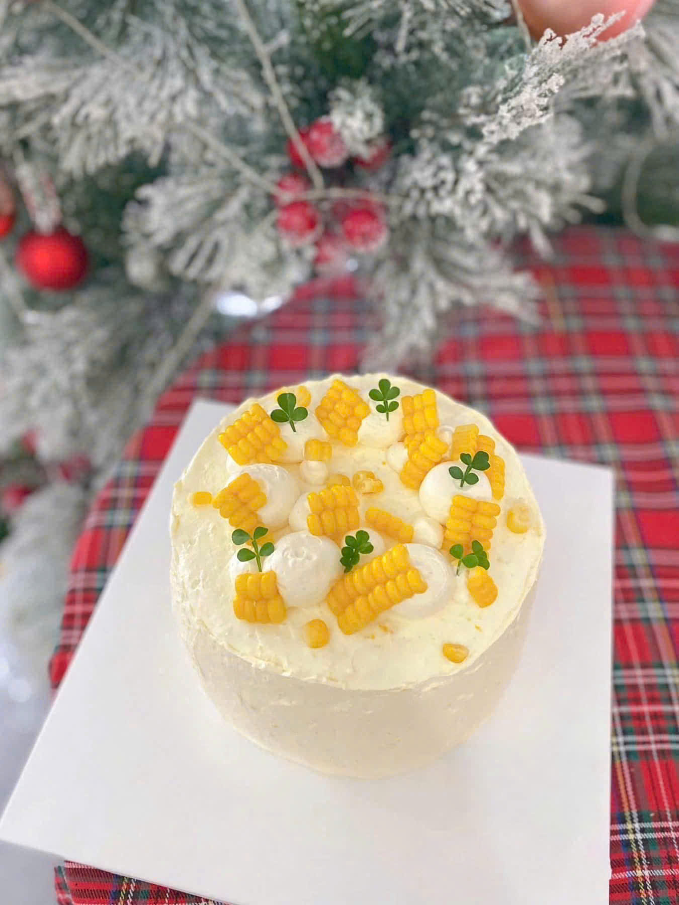 Mousse bắp dạng ổ MHN02 - Ảnh 7