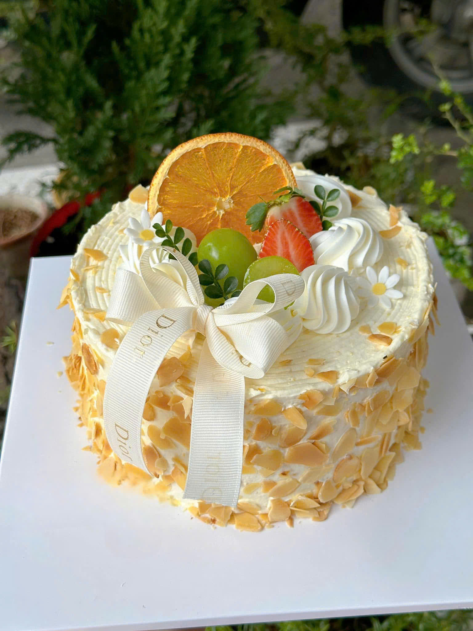 Mousse bắp dạng ổ MHN02